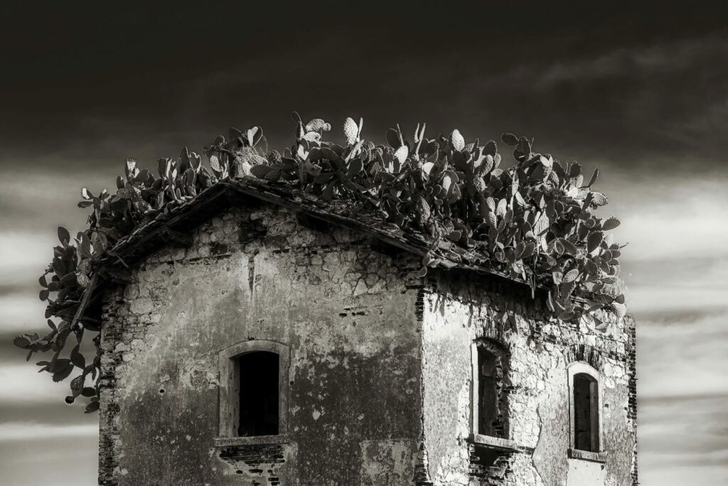 Foto Lorenzo Tallarita