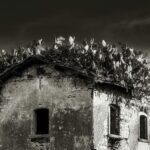 Foto Lorenzo Tallarita