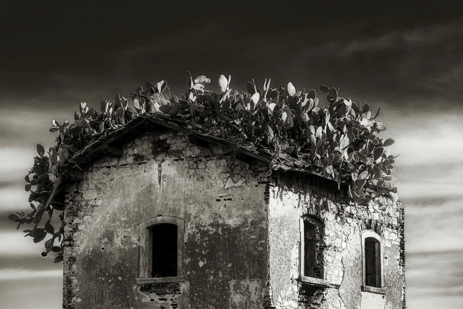 Foto Lorenzo Tallarita